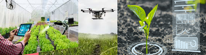 Agriculture Instructor Vacancy